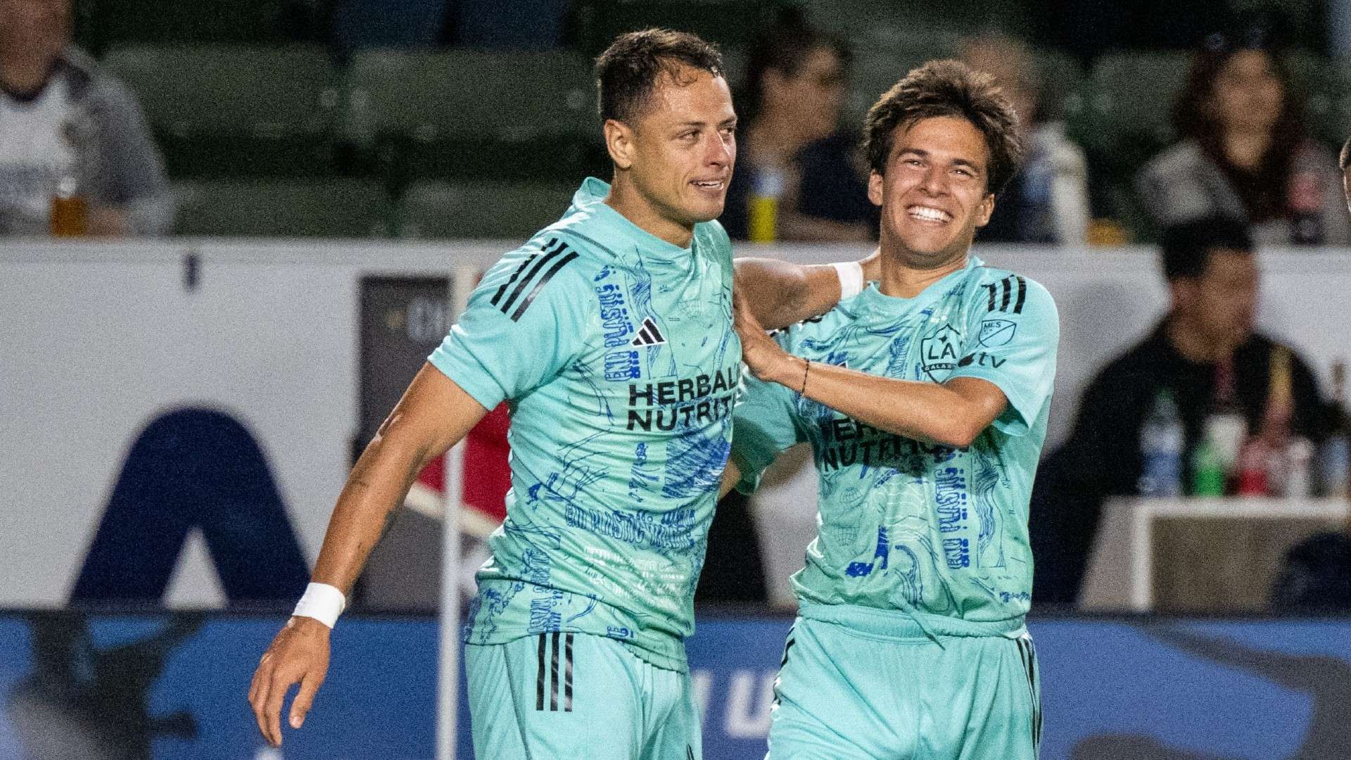 却有时显得 却有时显得