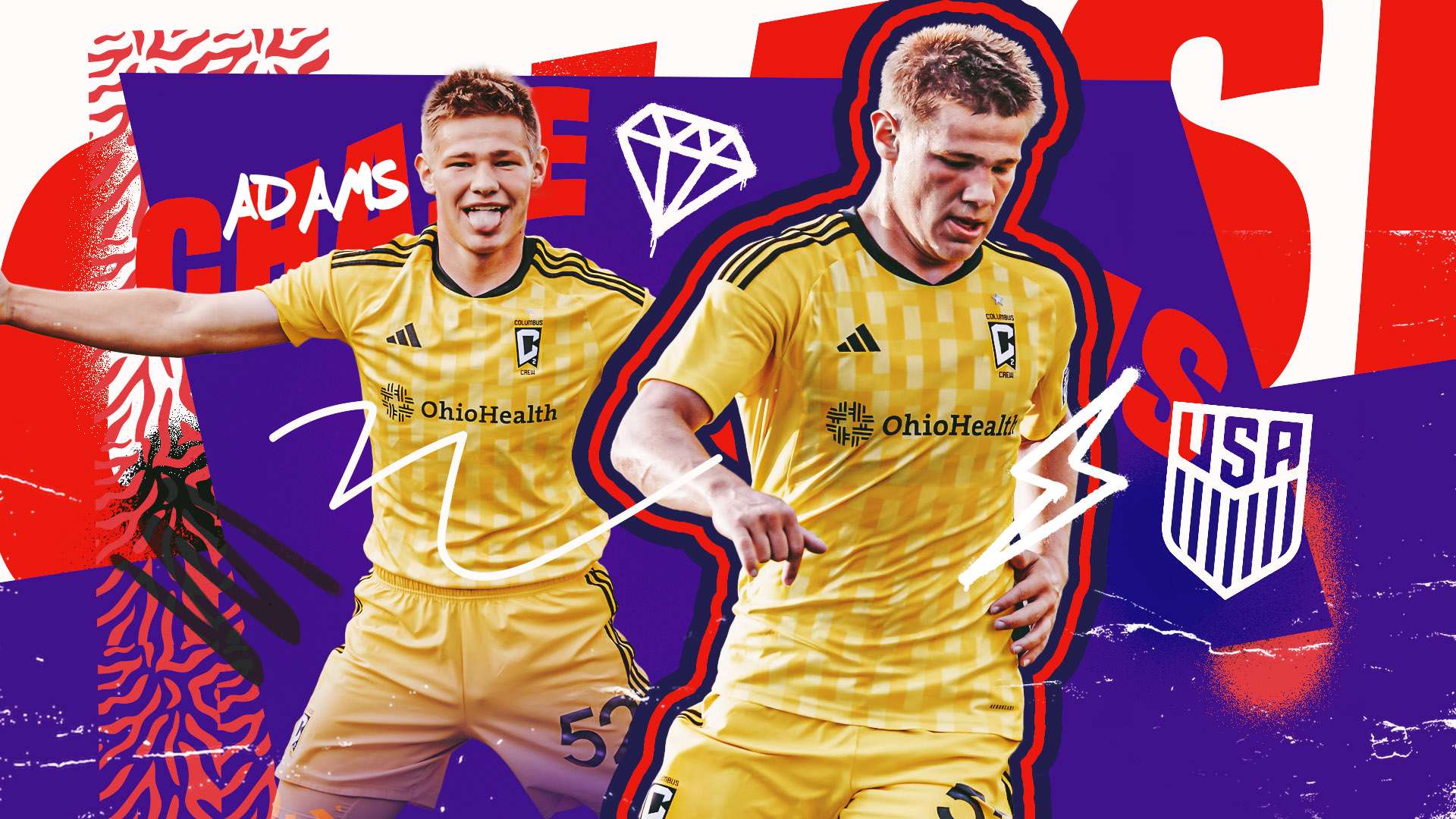 进行细致分 进行细致分